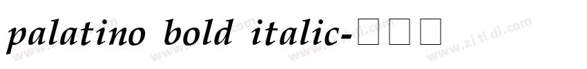 palatino bold italic字体转换